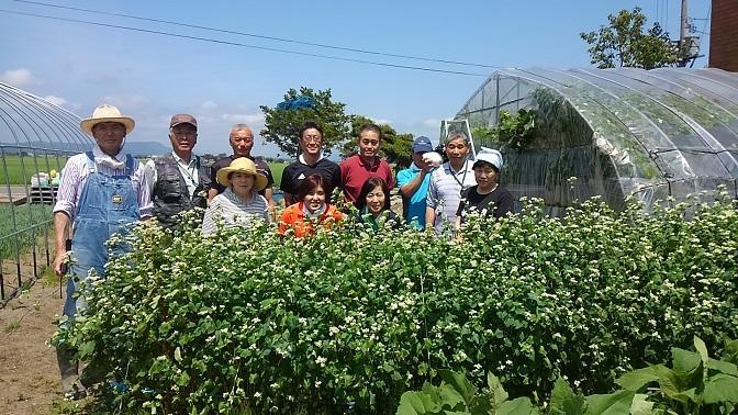 ソバ栽培体験会