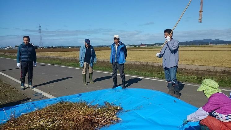 続、ソバ栽培の体験会