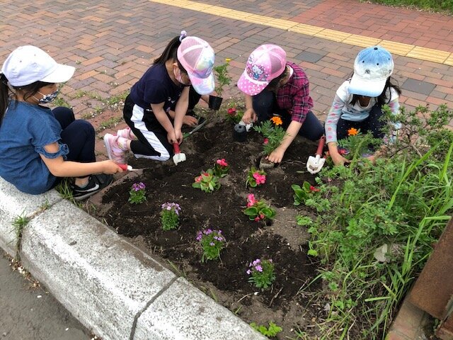 植樹枡と花壇へ花植えをしました