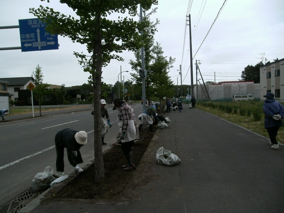 団地中央通りの植樹桝の除草する