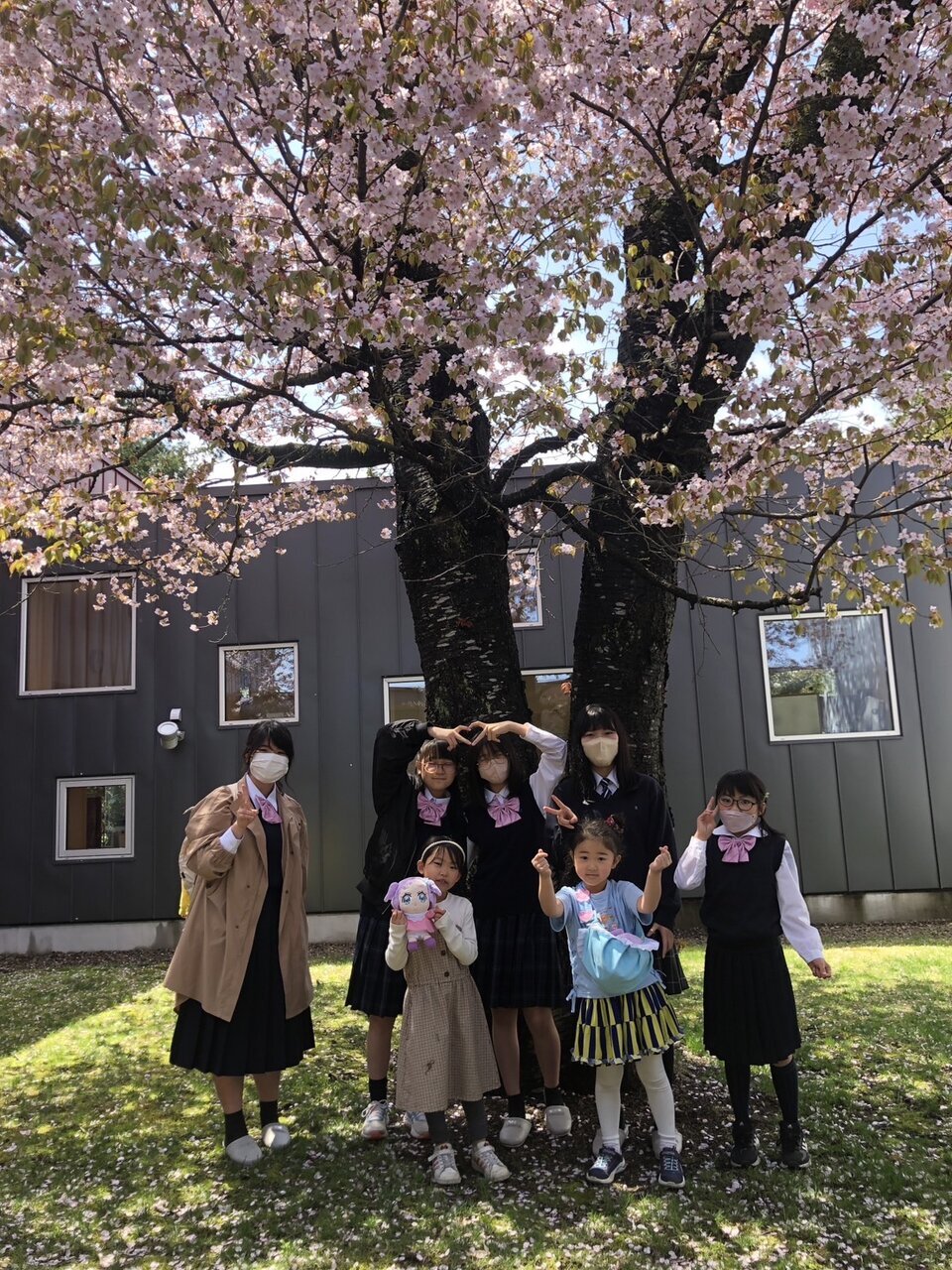 桜の花びらミニコンサート