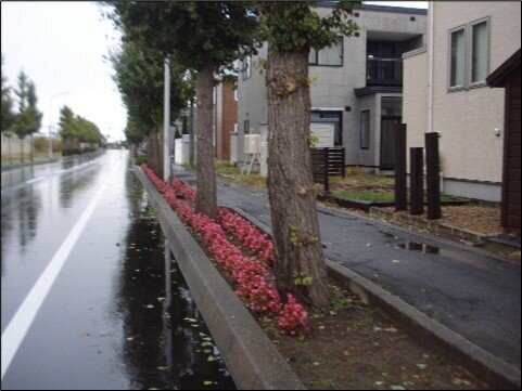 １０月（今年最後）の町内一斉清掃（役員のみ）