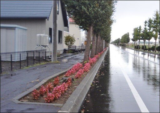 １０月（今年最後）の町内一斉清掃（役員のみ）