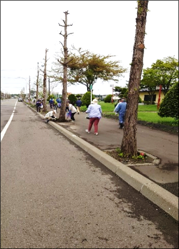 町内一斉清掃・フラワーロード事業