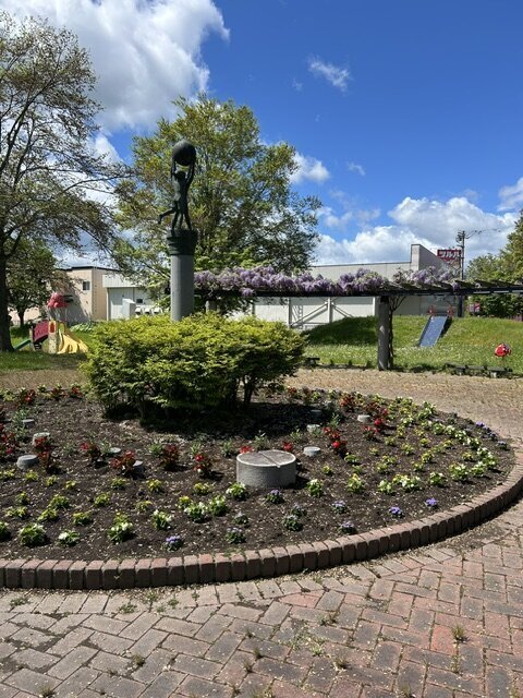 5月16日花壇の花植え